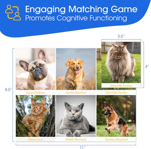 Keeping Busy Match The Photo Game with Fun Facts Set 2 Elderly Games for Seniors with Dementia Games for Dementia Seniors | Adult Memory Matching Game for Adults | Senior Games for Parkinsons Patients