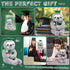 Plush Bear 10 Inch Stuffed Animal for Class of 2025 Graduation Gifts, Green Sloth with Clear PVC Bag