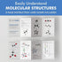 Old Nobby Organic Chemistry Set, 425 pc Molecular Model Kit, STEM Science Kits for Kids, Teachers, Young Scientists