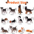 12PCS Dog Figurines Playset, Realistic Detailed Plastic Puppy Figures, Hand Painted Mini Dog Figures Toy Set