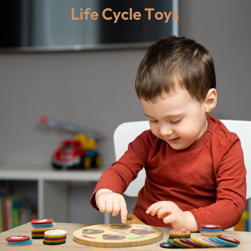 Life Cycle Toys for Kids, 12 Themes Montessori Preschool Science Center Materials, Educational Toys for Age 3-6