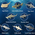 (12 Count) Shark Toy Animals