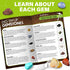 LotFancy Gemstone Dig Kit, Excavate 20 Real Gems, Science Kit for Kids Age 8-12, Educational Toy with Mining Tools