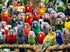 Cross & Glory Kaleidoscope of Feathers: Premium 1000 Piece Jigsaw Puzzle for Adults - Unique Bird Artwork
