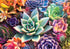 Buffalo Games - James Mertke - 300 Piece Jigsaw Puzzle for Adults - Simple Succulents - Finished Size 21.25 x 15.00