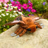 Frankiezhou Home 26in, Ginkgo Moth Plush Toy, Giant Ginkgo Moth Stuffed Animals Realistic Soft Big Moth Plushie Model