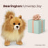 13 Inch 3-14 Bearington Rudy The Pomeranian Plush, Pomeranian Stuffed Animal, for Ages
