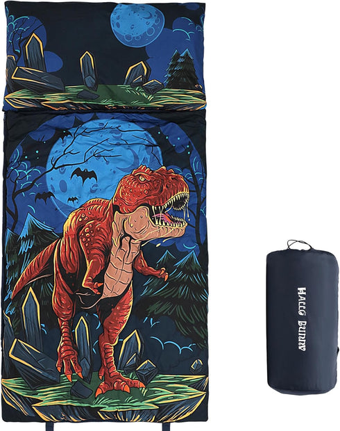 Kids Sleeping Bag, Dinosaur/Space Astronaut Slumber Bag with Removable Pillow for Boys and Girls