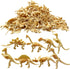 HAVAGDTM 110PCS Dinosaur Fossil Skeleton Dinosaur Skeleton Toys Assorted Figures Dino Bones for