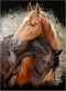 MyPuzzle Premium 500 Piece Horse Hug Jigsaw Puzzle - Made in USA