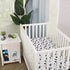 Carter's Super Soft Dino Adventure Baby Blanket in Gray & Blue