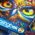 Springbok Look of The Wild, 1000 Piece Jigsaw Puzzle for Adults, Vivid Fantasy Owl Face, 30" x 24"