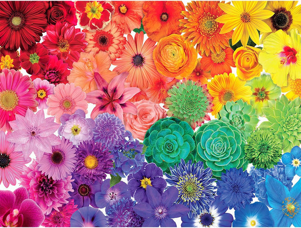 Rainbow Flowers Jigsaw Puzzles for Adults, 1000 Pieces, Large Artwork Puzzle Game for Teens Family - 27.6X 19.7IN