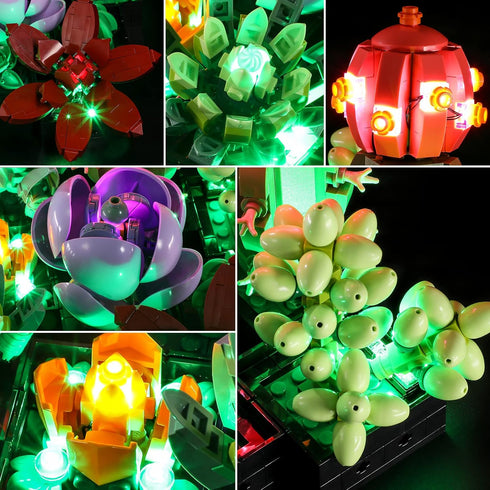 Lightailing Light for Lego-10309 Succulents, LED Lighting Kit Compatible with Lego Building Blocks Model - NOT Included