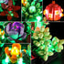 Lightailing Light for Lego-10309 Succulents, LED Lighting Kit Compatible with Lego Building Blocks Model - NOT Included