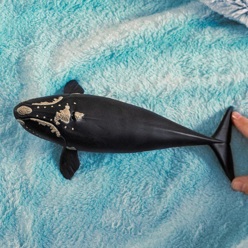 7 3+ 14878 schleich Wild Life - North Atlantic Right Whale Toy with Realistic Details - Durable Animal Figurine