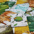 Evergreen - Abstract Strategy Board Game for Adults and Family, 1 to 4 Players, Ages 8+, 45-60 Min