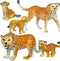 Gemini&Genius Jaguar Toys, Safari Animal Cheetah and Leopard Family Playset Figures, Wildlife World Models, Birthday