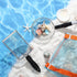 6 2 2 2 Liliful Pcs New Shelling Tools for Beach Include Shark Tooth Sifter with Adjustable Handle Sand Scoop Shell