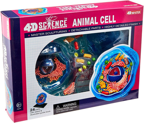 Famemaster 4D-Science Animal Cell Anatomy Model, Coral, Black, Mint Green, Beige, Gold, Rose Gold
