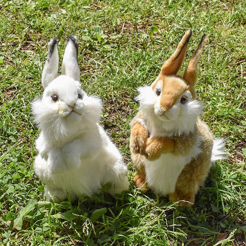 Rabbit Plush Animal Toy, 13", White - Hansa