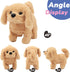 Hopearl Walking Dog Golden Retriever Interactive Electronic Pet Plush Toy Puppy with Moving Head for Toddlers