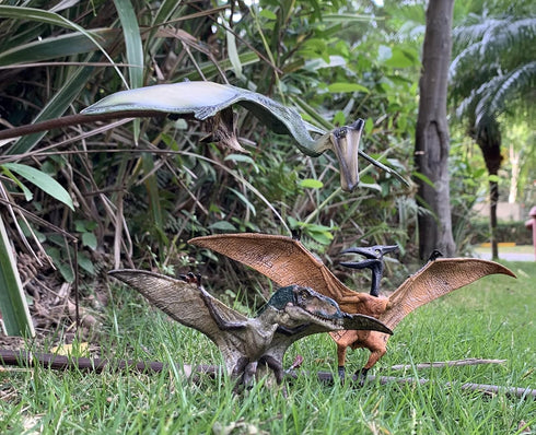 Gemini&Genius 3pcs Pterodactyl Action Figures, Realistic Flying Dinosaur Pteranodon Dino Toys Cake Toppers Set for Kids