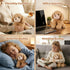 Coolable & Microwavable Dog Stuffed Animal, Weighted Stuffed Animals Plush for Kids, Women, Girls, Lavender Scent Dog