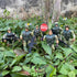 SCAHOW 6pcs 3 4 5 6 7+ Playsets Military Action Figures, Soldier Toys for Year Old Boys, Amy Men Action Figures