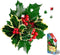 Madd Capp Holly 350 Piece Jigsaw Puzzle for Ages 10 & Up - Unique Floral-Shaped Border with Educational Fun Facts