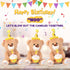 Hopearl Happy Birthday Teddy Bear with Glowing Cupcake - Musical Stuffed Animal Bear, Interactive Kids Gift, Brown