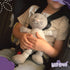 "Cat Stuffed Animals Warmie for Kids - 12 Inch Microwavable Plush Pal with Dried Lavender Aromatherapy"