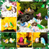SYWHXY 72PCS (11 Miniature Cute Bird Decorative Figurines - Dollhouse Accessories, Mini Resin Birds Toy for Garden