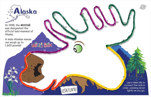 WIKKI STIX USA Fun Paks, Travel Essential for Road Trips, Featuring USA Landmarks, Made in USA, Pack of 20