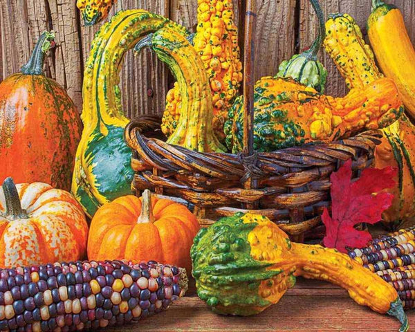 Springbok 1500 Piece Jigsaw Puzzle Harvest Colors - Made in USA