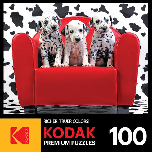 RoseArt - Kodak Premium - Lots of Spots - 100 Piece Jigsaw Puzzle for Adults