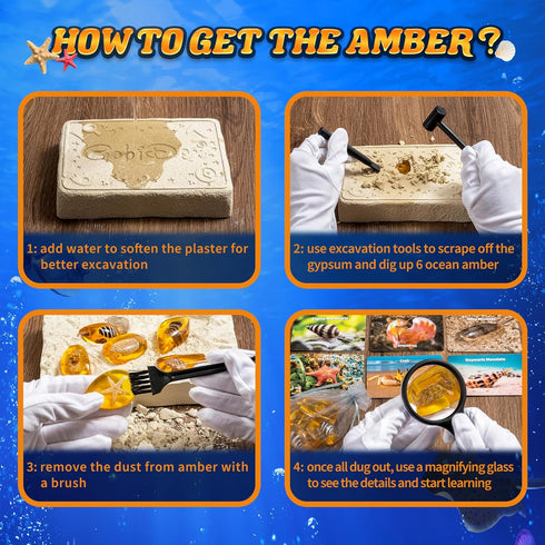GobiDex Sea Life Amber Dig Kit, Educational STEM Activities for Kids Age 6-12, Dig Up 6 Real Shellfish