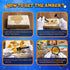 GobiDex Sea Life Amber Dig Kit, Educational STEM Activities for Kids Age 6-12, Dig Up 6 Real Shellfish