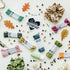 Choose Friendship My Friendship Bracelet Maker Be Natural Expansion Pack, 80 Pre-Cut Threads, 75 Beads/Charms