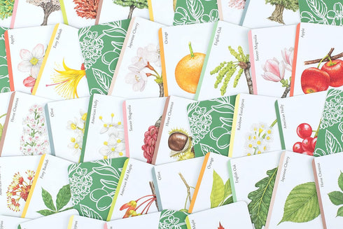 Laurence King Tree Families: A Botanical Card Game - Happy Families Card Game for All Ages.