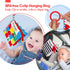 hahaland Baby Books 0-6 Months - 2PCS Infant Toys, Tummy Time High Contrast Visual Development Sensory Baby Book