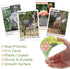 BenBen Go Fish Card Game for Kids, Jumbo Size Safari Animal Learning Cards, 104 Cards for 2-8 Players