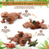 5 Set 26 Inch 4 Lenwen Pcs Bearded Dragon Stuffed Animal Earth Day Reptile Gifts Large Lizard Iguana Plush Toy