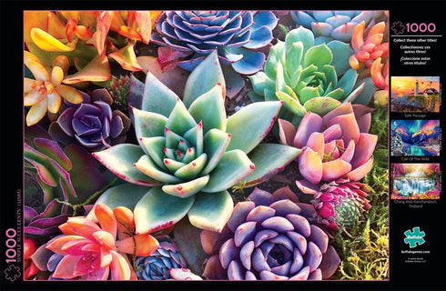 Buffalo Games Simple Succulent 1000 Piece Jigsaw Puzzle for Adults, Perfect for Relaxation
