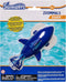 SwimWays Zoomimals Shark Toy, Kids Pool Accessories & Diving Toys for Ages 5 & Up, Swimming Pool Fun