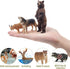12PCS Set Toymany North American Forest Animal Figurines, Realistic Jungle Zoo Animal Includes
