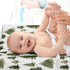 Sweet Jojo Designs Baby Changing Pad Cover Sheet (Sage Green Woodland) for Girls/Boys, Infant/Newborn Diaper Change