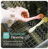 Mason Bottle 2 Pack Silicone Spoons (Buttercup & Harbor)