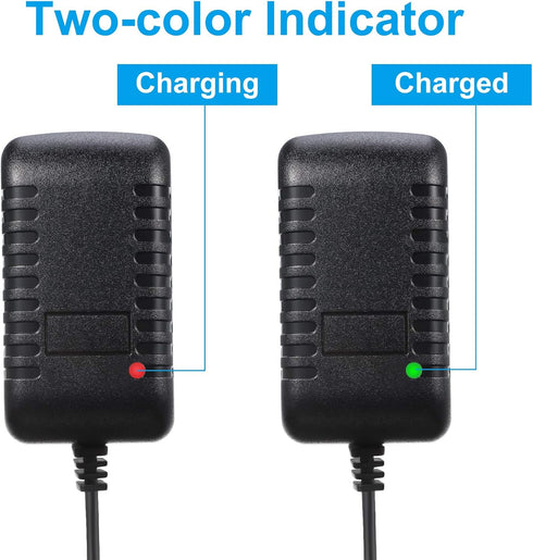 Weewooday 6V Charger for Kids Ride On Car - Battery Charger for Ride on Toys with Charging Indicator Light
