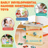 1-3: 2-in-1 Hammer 4 1 2 3 Wooden Car Ramp Toy for Toddlers Pound a Ball Toy with & Cars - Montessori Educational Race